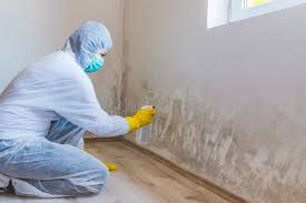 Reliable Manchester, IA Mold Remediation Solutions