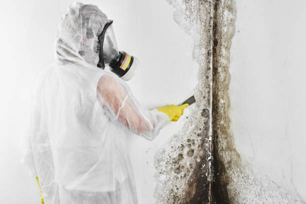 Best Air Quality Testing for Mold Spores  in Manchester, IA