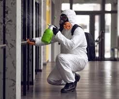 Biohazard Mold Removal in Manchester, IA